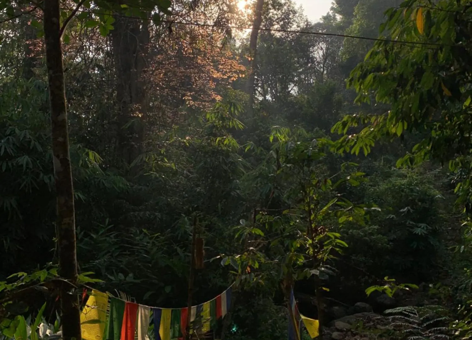 Triloka Dorm By The Offbeat Crew Villa Munnar India